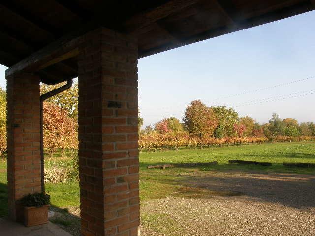 Agriturismo Bosco Del Fracasso Scandiano Exteriér fotografie